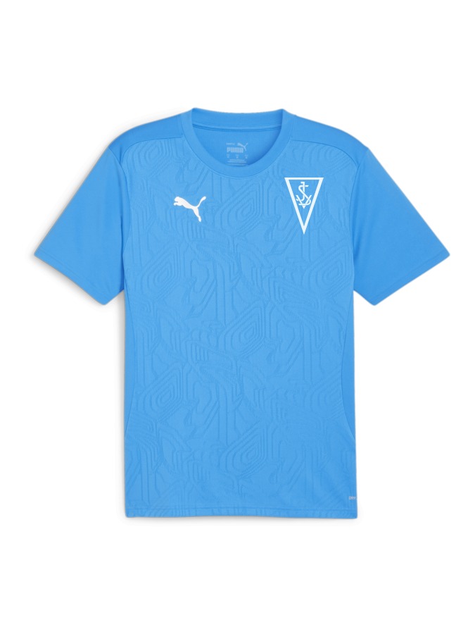 PUMA teamFINAL Trainingsshirt