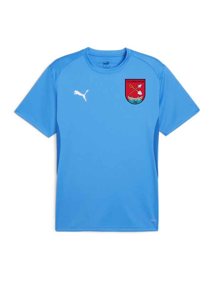 PUMA teamGOAL Trikot