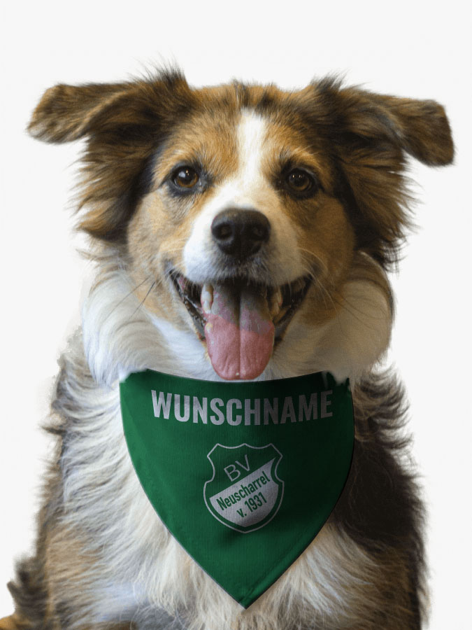 Hundehalstuch