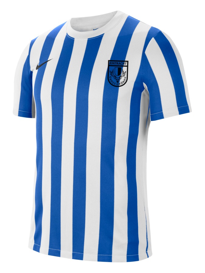 Nike Division 4 Striped Kurzarm Trikot Kinder