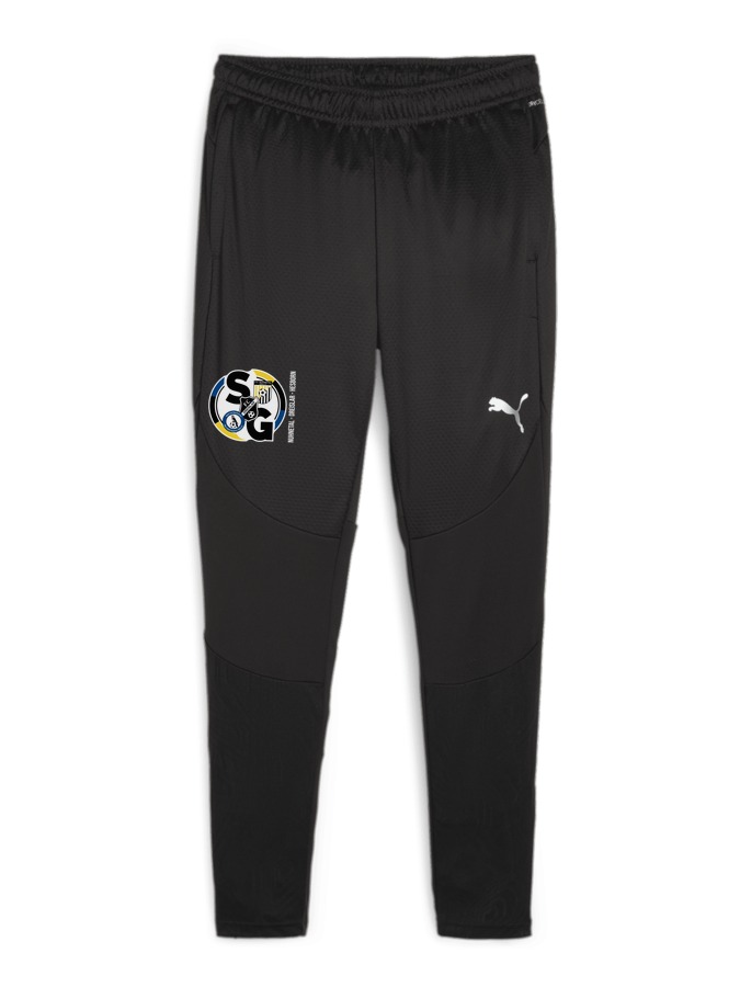 PUMA teamFINAL Trainingshose