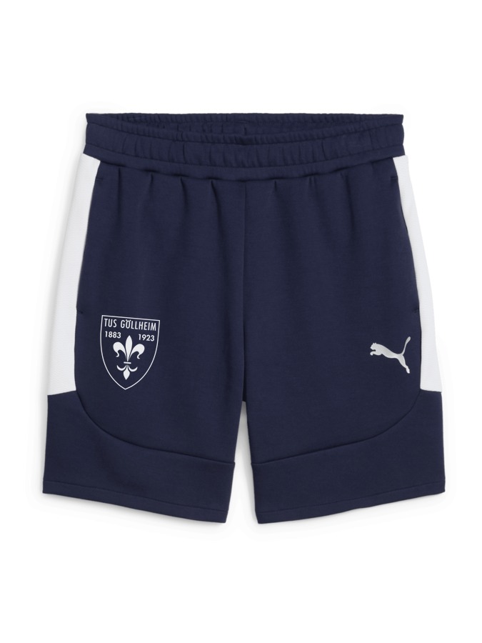 PUMA teamEVOSTRIPE Shorts