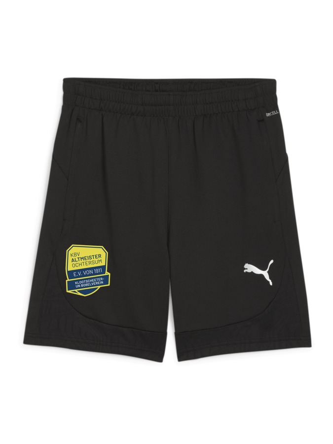 PUMA teamFINAL Training Shorts