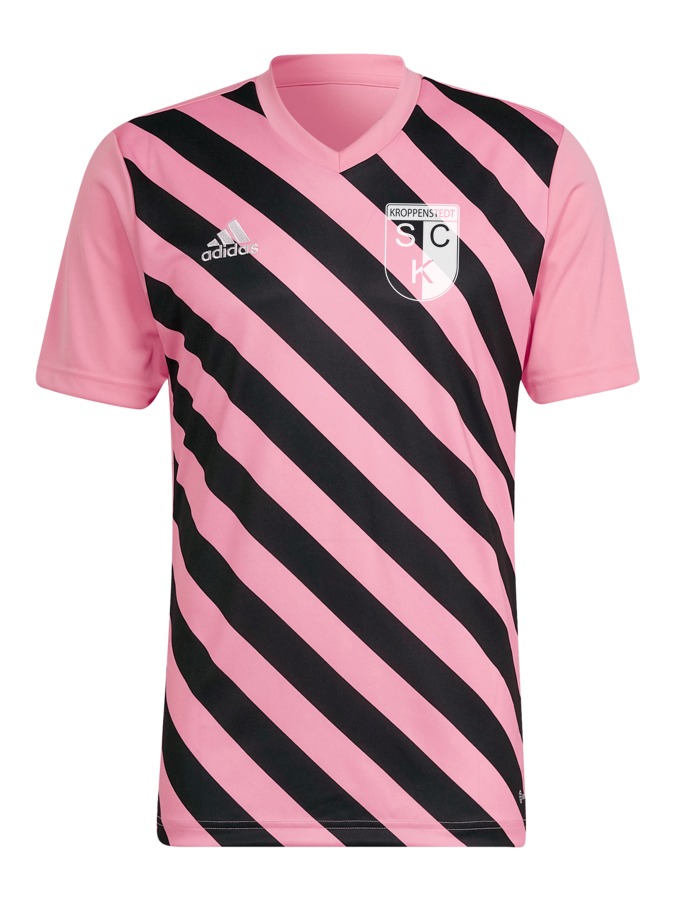 adidas Entrada 22 GFX Trikot