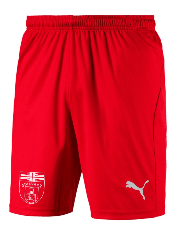 PUMA LIGA Shorts Core