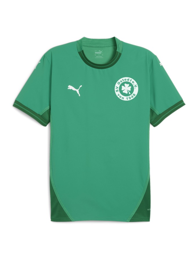 PUMA teamFINAL Trikot