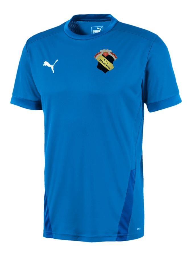 PUMA teamGOAL 23 Trikot