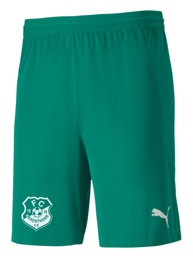 PUMA teamFINAL 21 Knit Shorts