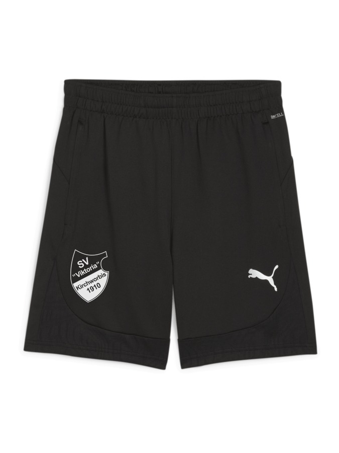 PUMA teamFINAL Training Shorts