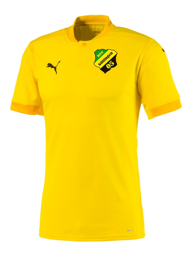 PUMA teamFINAL 21 Trikot