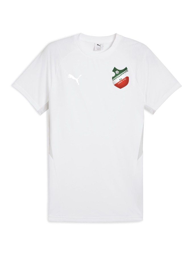 PUMA teamEVOSTRIPE T-Shirt