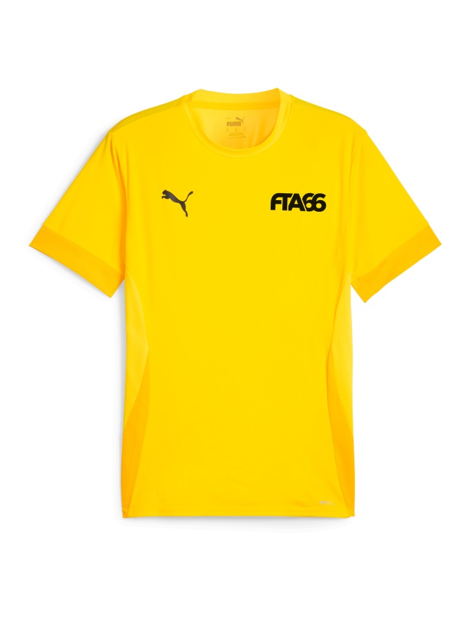 PUMA teamGOAL Matchday Trikot