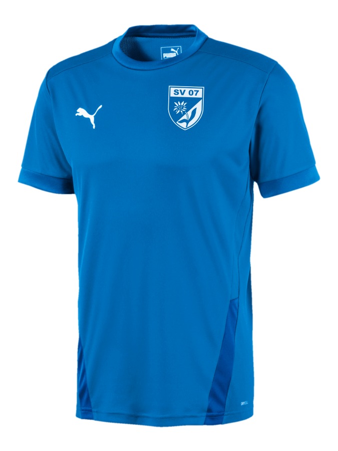 PUMA teamGOAL 23 Trikot