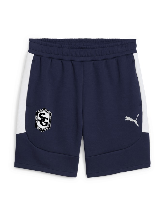 PUMA teamEVOSTRIPE Shorts