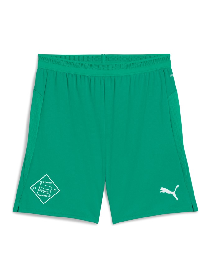 PUMA teamCUP Shorts