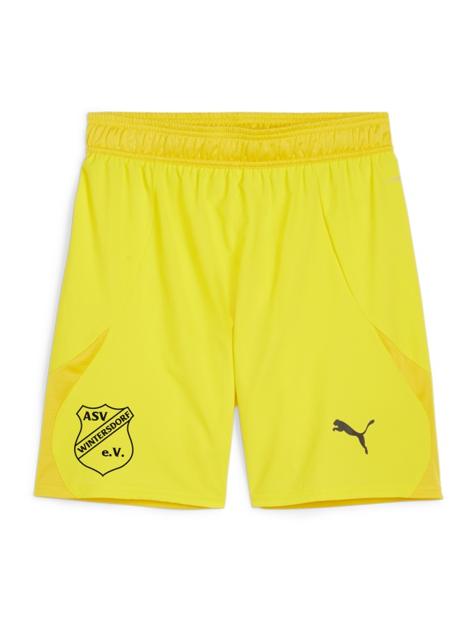 PUMA teamFINAL Shorts