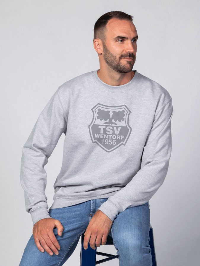 Sweater All Grey Herren