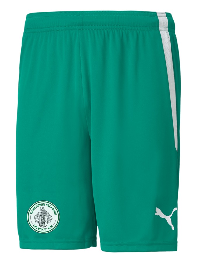 PUMA teamLIGA Shorts