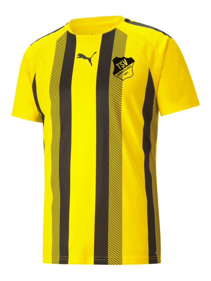 PUMA teamLIGA Striped Trikot