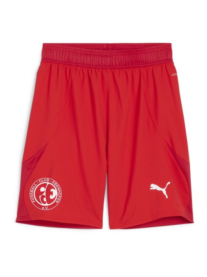 PUMA teamFINAL Shorts