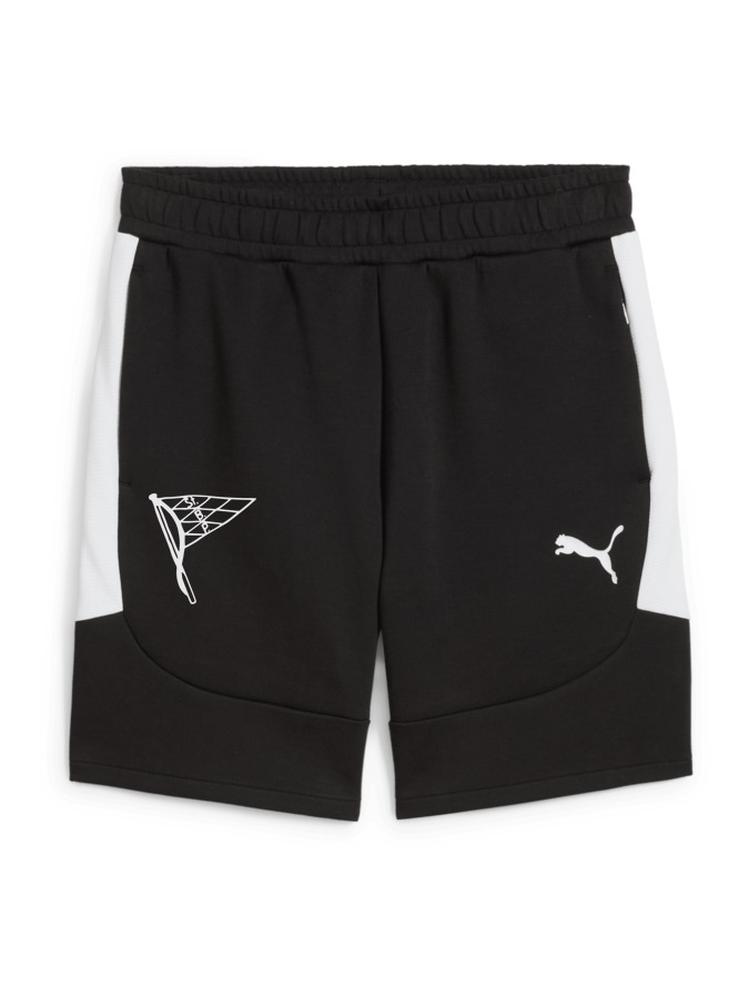 PUMA teamEVOSTRIPE Shorts