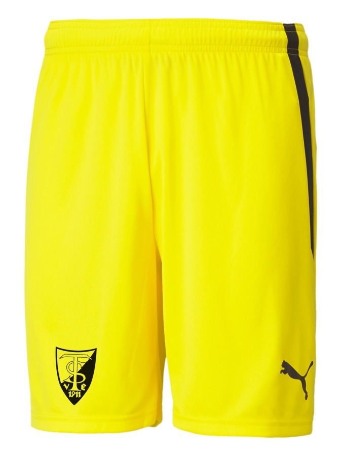 PUMA teamLIGA Shorts