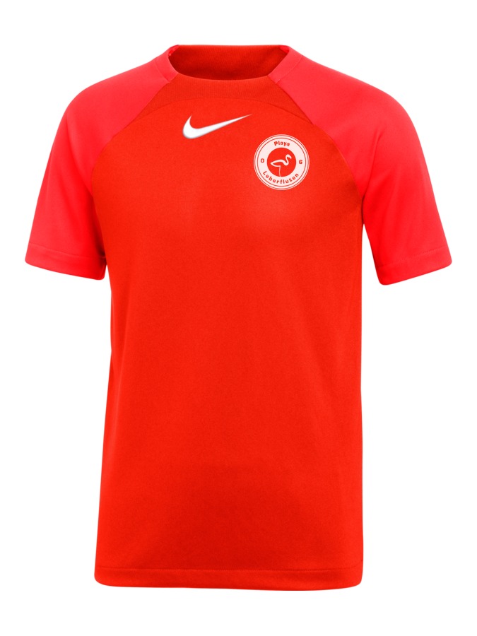 Nike Academy Pro 22 Shirt Kinder