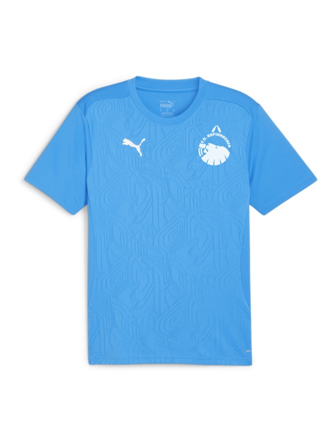 PUMA teamFINAL Trainingsshirt