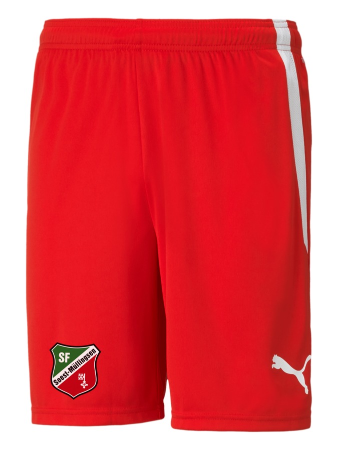 PUMA teamLIGA Shorts