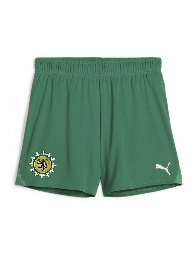 PUMA teamGOAL Handballshorts Damen