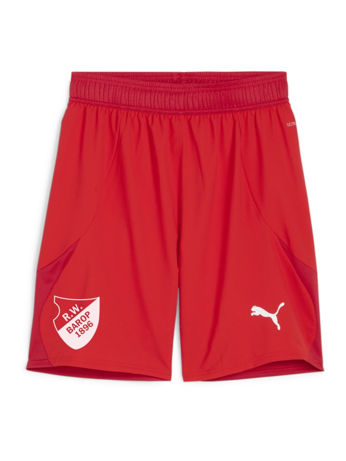PUMA teamFINAL Shorts