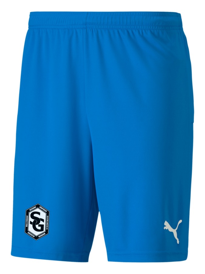 PUMA teamGOAL 23 Knit Shorts