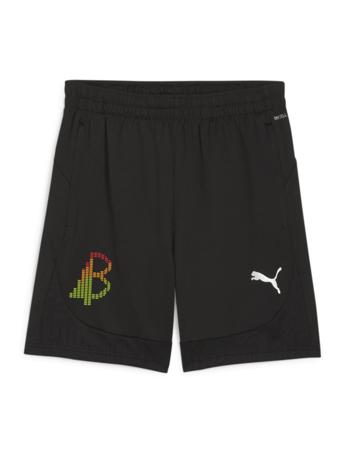 PUMA teamFINAL Training Shorts