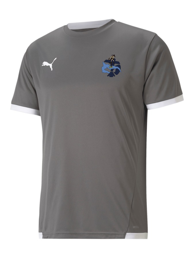 PUMA teamLIGA Trikot
