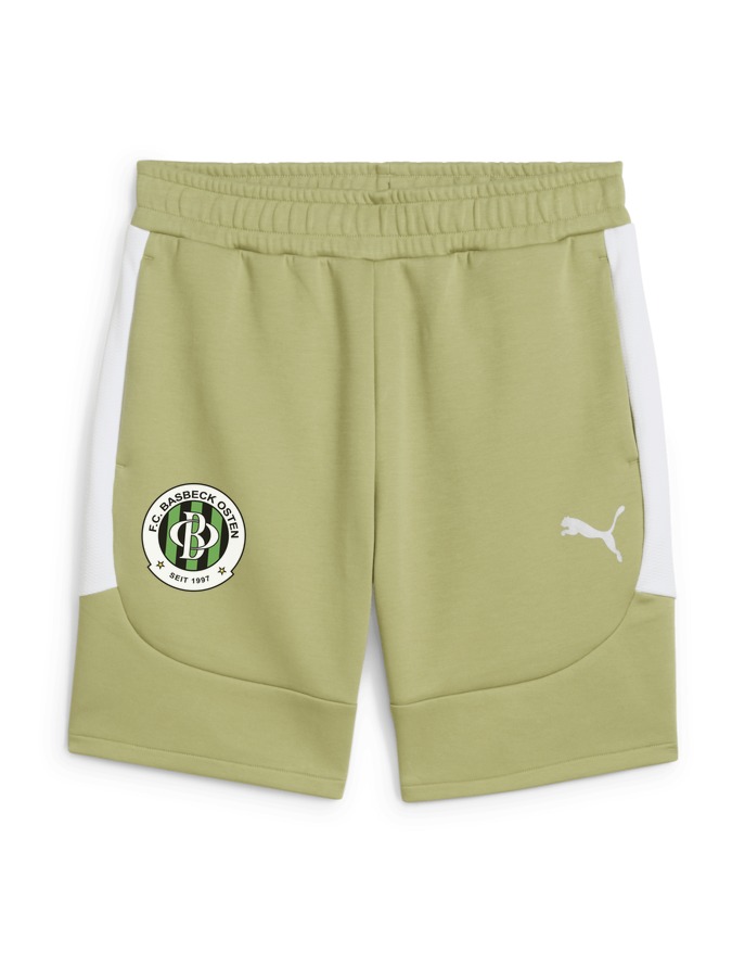 PUMA teamEVOSTRIPE Shorts
