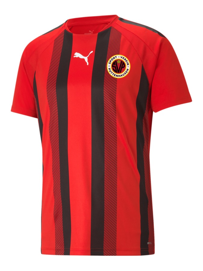 PUMA teamLIGA Striped Trikot