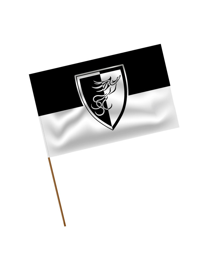 Stadionfahne Logo