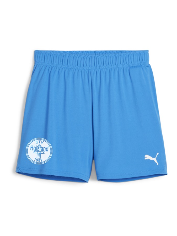 PUMA teamGOAL Handballshorts Damen