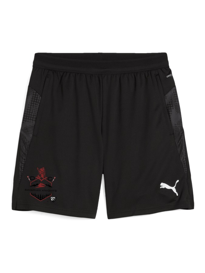 PUMA teamCUP Training Shorts