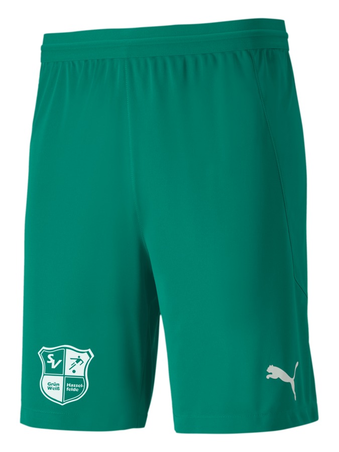 PUMA teamFINAL 21 Knit Shorts