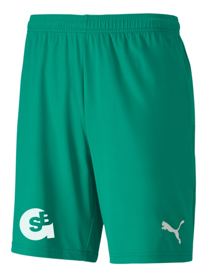 PUMA teamGOAL 23 Knit Shorts