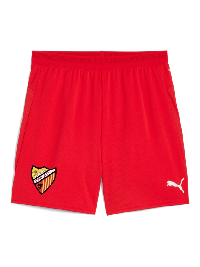 PUMA teamCUP Shorts