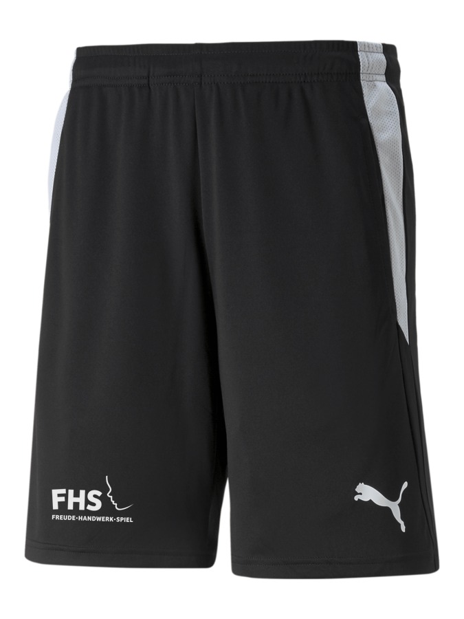 PUMA teamLIGA Referee Shorts