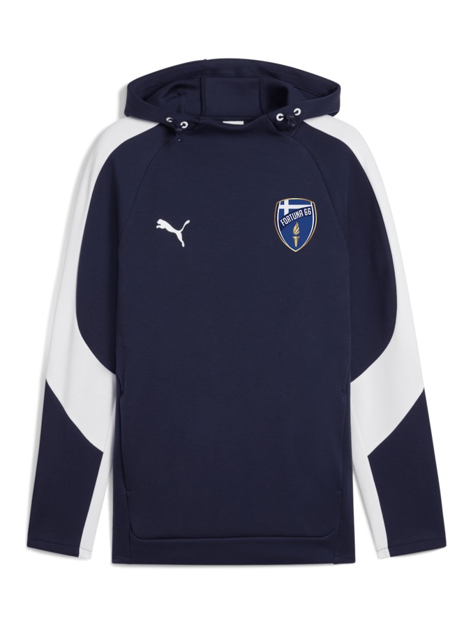 PUMA teamEVOSTRIPE Hoody