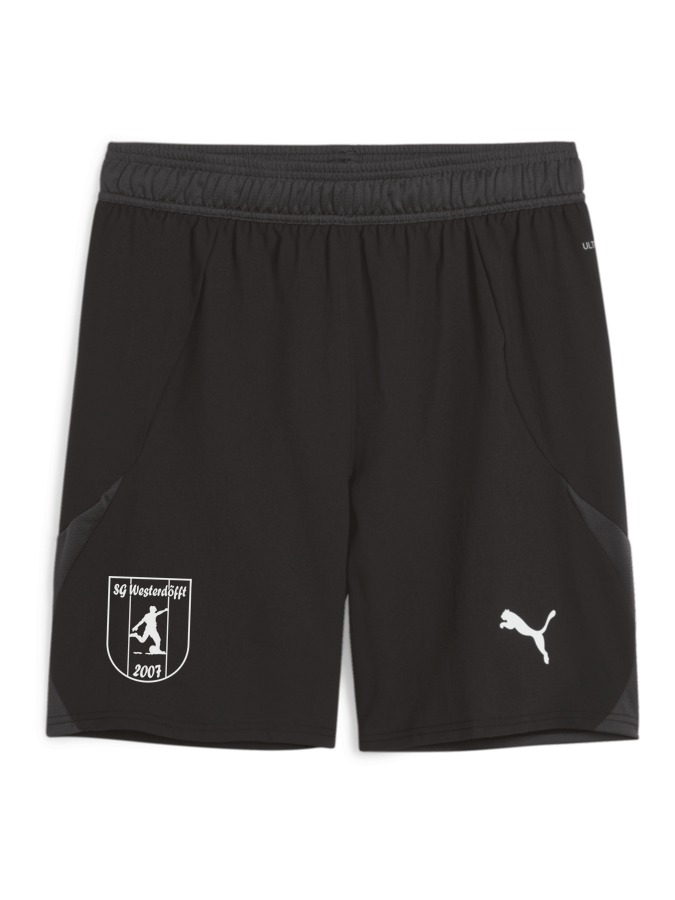 PUMA teamFINAL Shorts