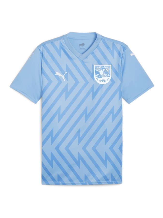 PUMA teamGLORY Trikot