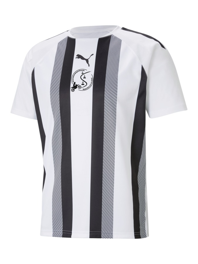PUMA teamLIGA Striped Trikot