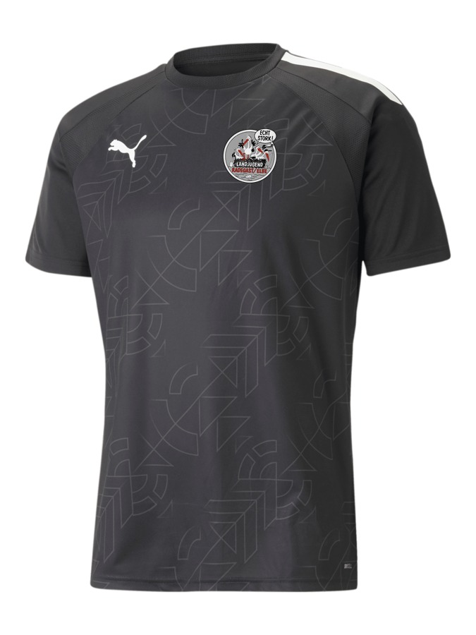 PUMA teamLIGA Graphic Trikot