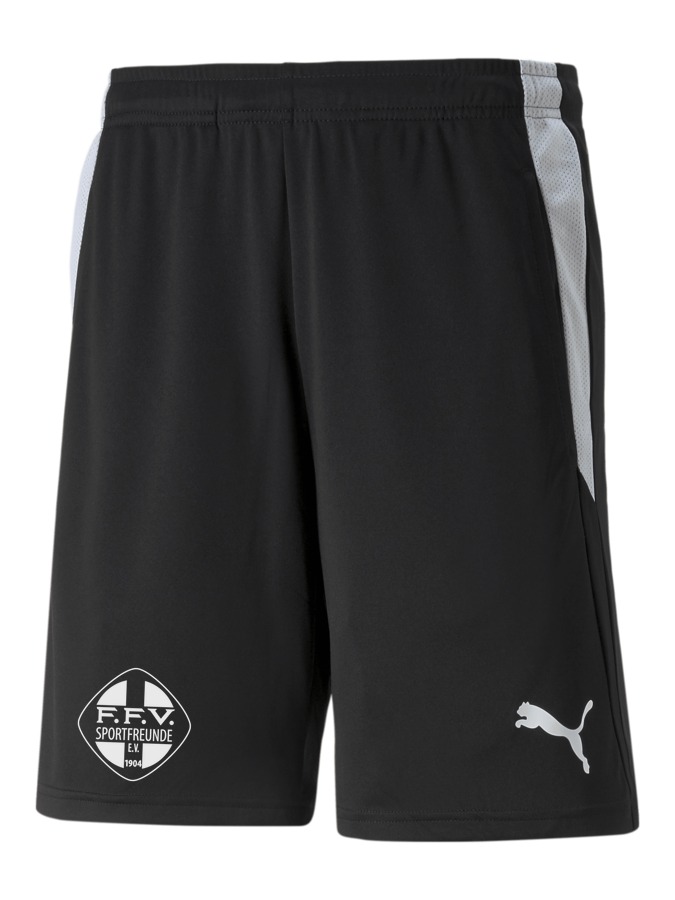 PUMA teamLIGA Referee Shorts