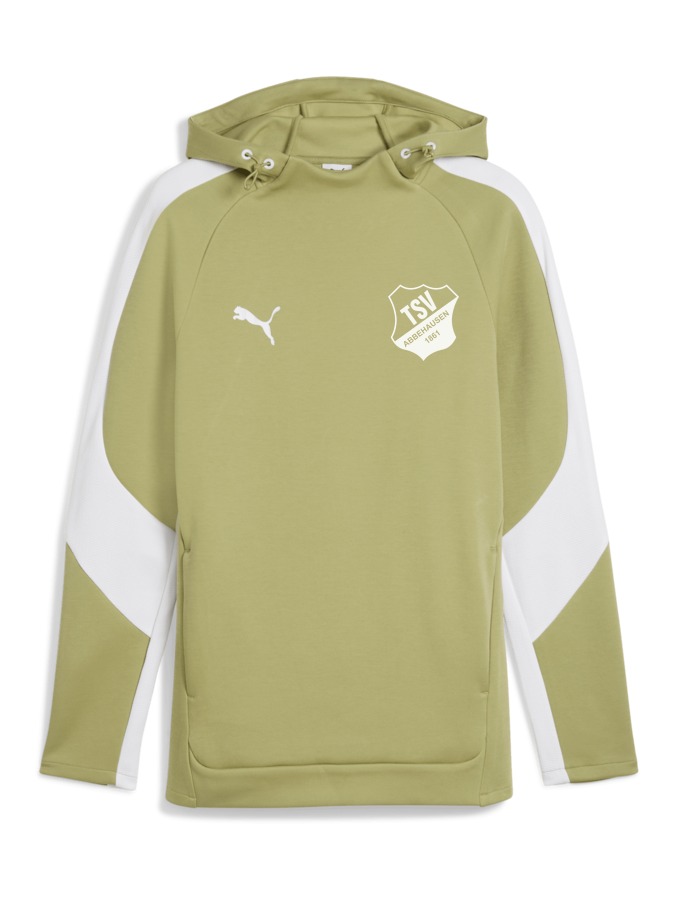 PUMA teamEVOSTRIPE Hoody